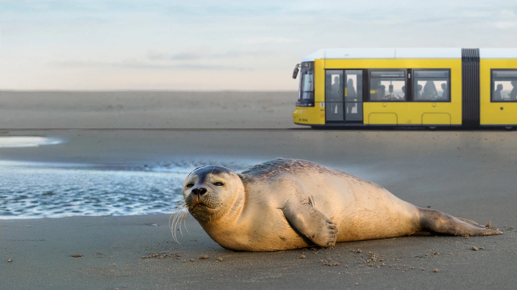 Berliner Verkehrsbetriebe (BVG)
